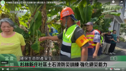 無圖片