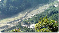 介紹圖片_在谷口設置緩衝林帶